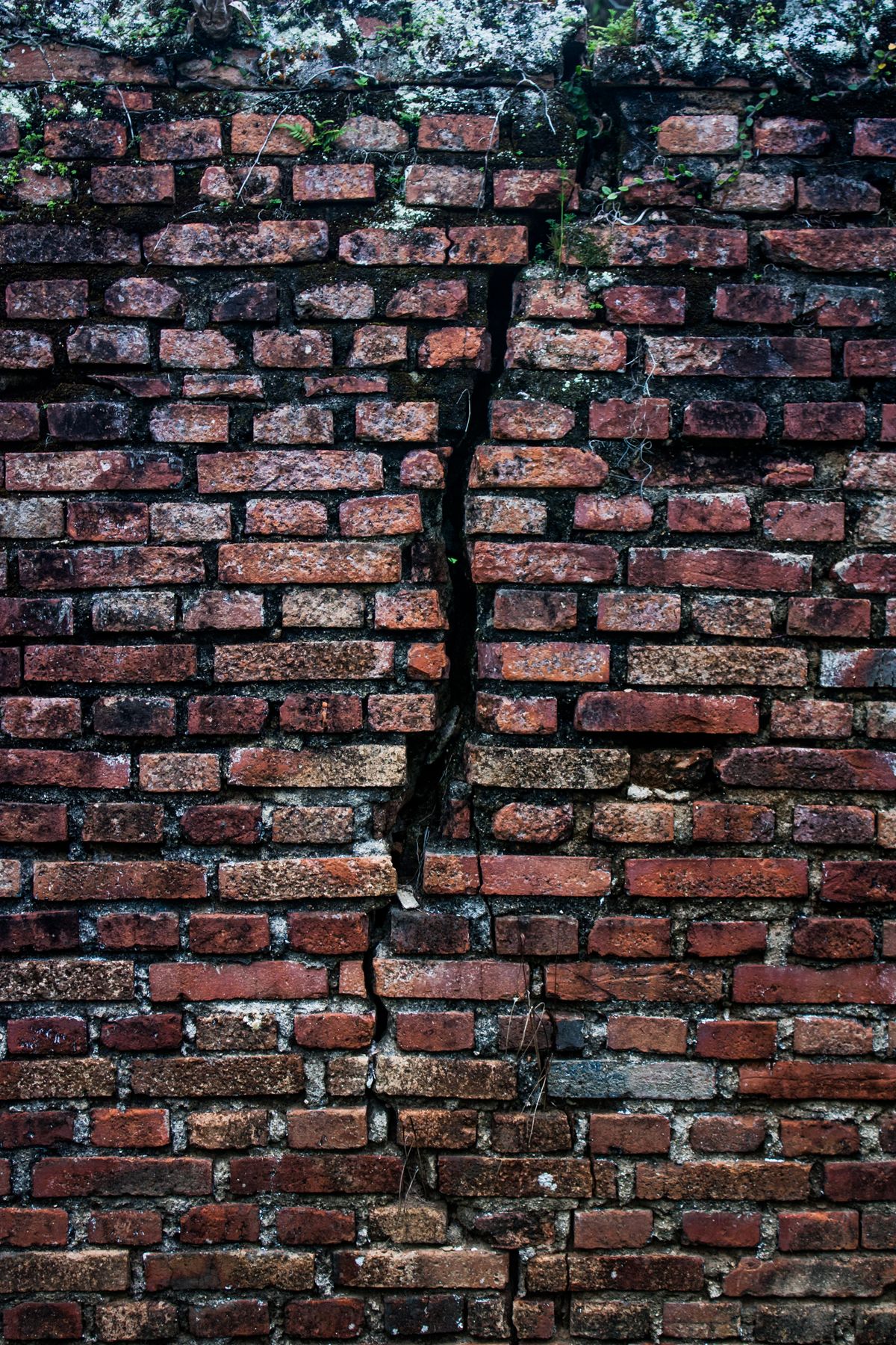 Fissure traversante suivant les joints d'un mur en briques